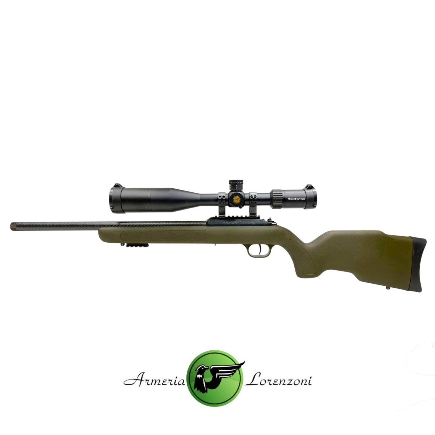 DIANA R-22 CARBON CAL 22LR USATO